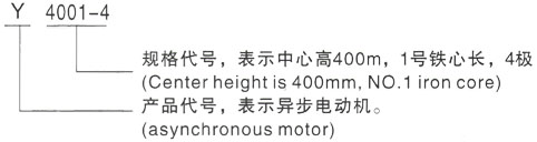 西安泰富西玛Y系列(H355-1000)高压泉山三相异步电机型号说明